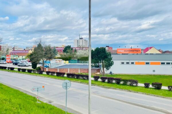 246 Veselí nad Lužnicí