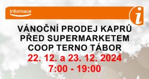 Vánoční prodej kaprů před supermarketem COOP TERNO Tábor 22. – 23. 12. 2024